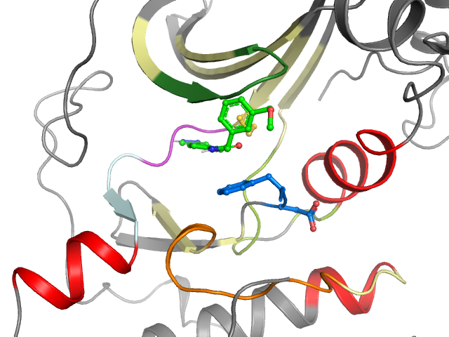 The orthosteric binding pocket