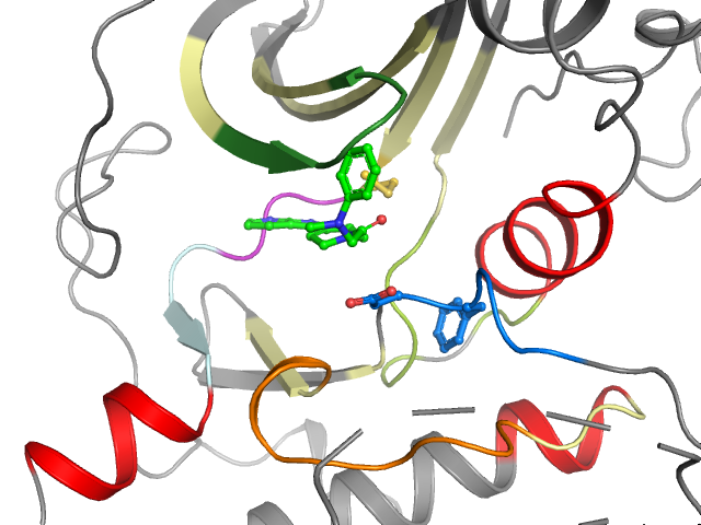 The orthosteric binding pocket