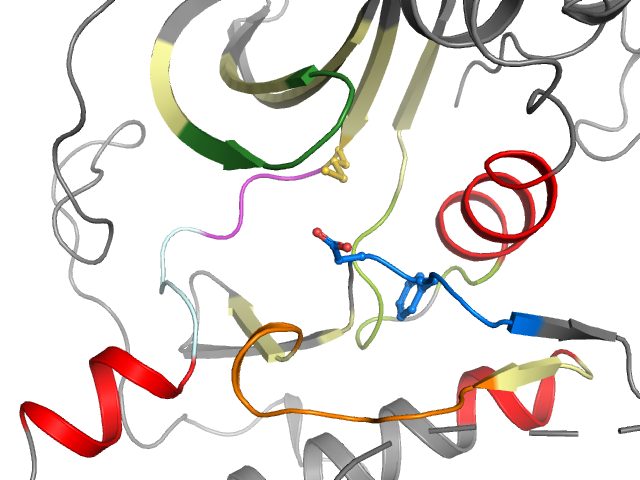 The orthosteric binding pocket