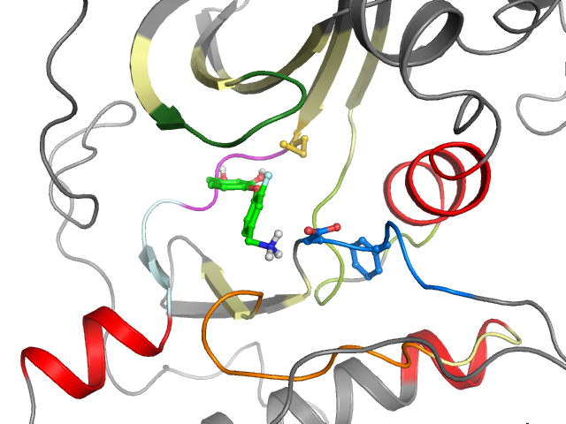 The orthosteric binding pocket