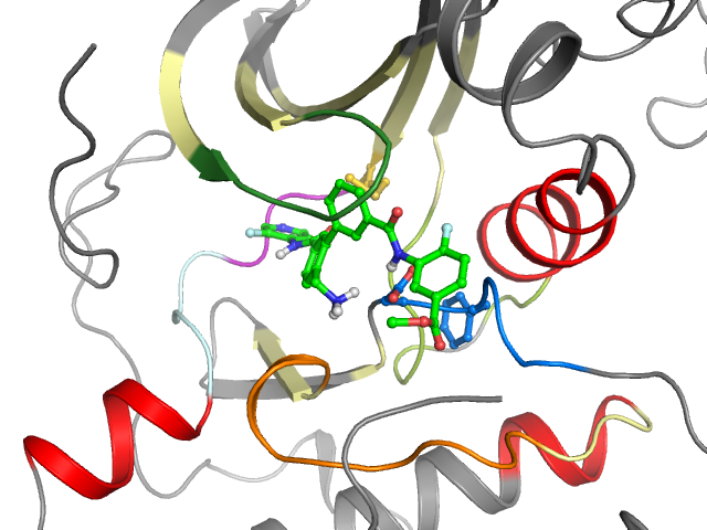 The orthosteric binding pocket