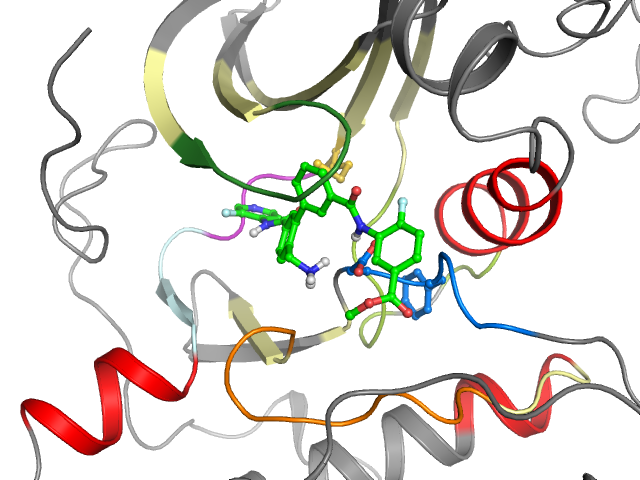 The orthosteric binding pocket
