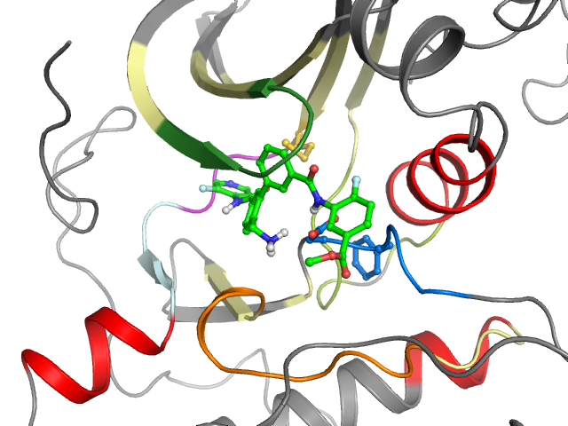 The orthosteric binding pocket