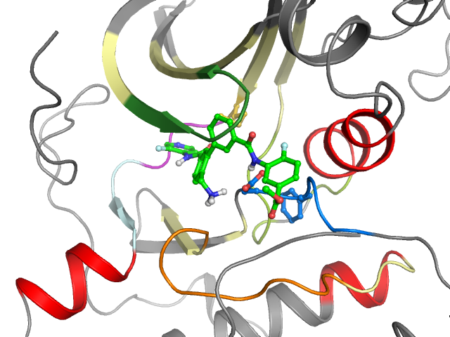 The orthosteric binding pocket