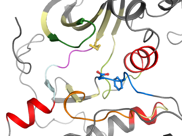 The orthosteric binding pocket