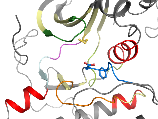 The orthosteric binding pocket