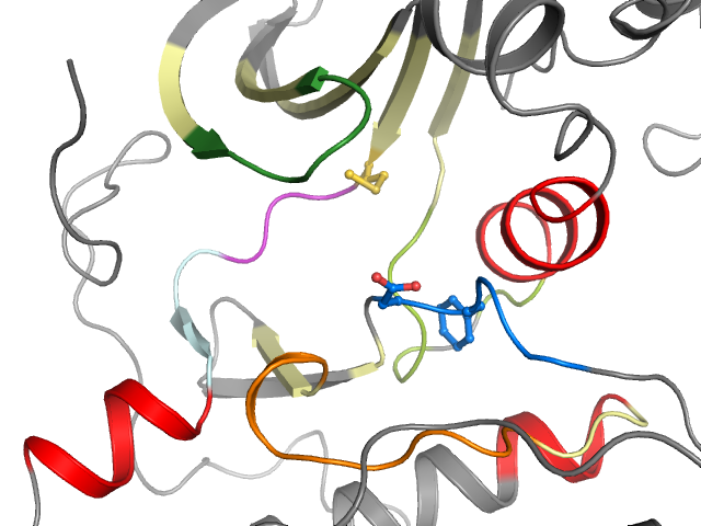 The orthosteric binding pocket