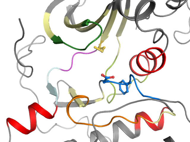 The orthosteric binding pocket