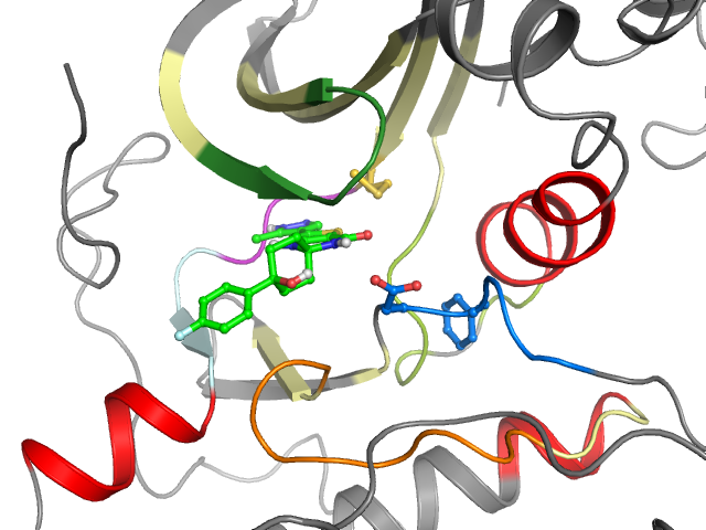 The orthosteric binding pocket