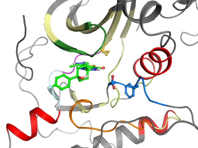 The orthosteric binding pocket