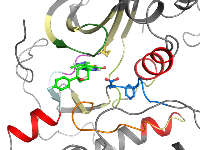 The orthosteric binding pocket