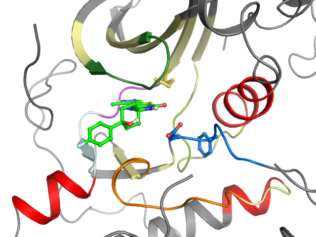 The orthosteric binding pocket