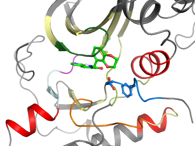 The orthosteric binding pocket