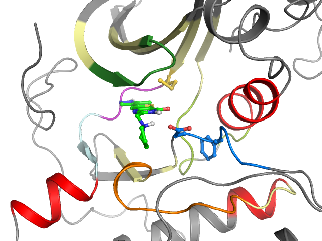 The orthosteric binding pocket