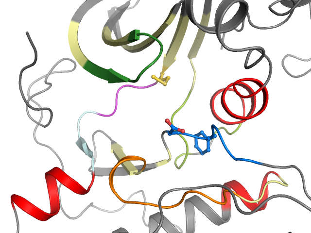 The orthosteric binding pocket
