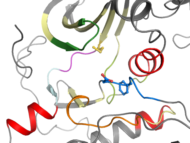 The orthosteric binding pocket