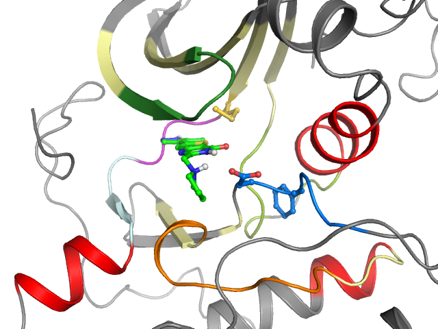 The orthosteric binding pocket