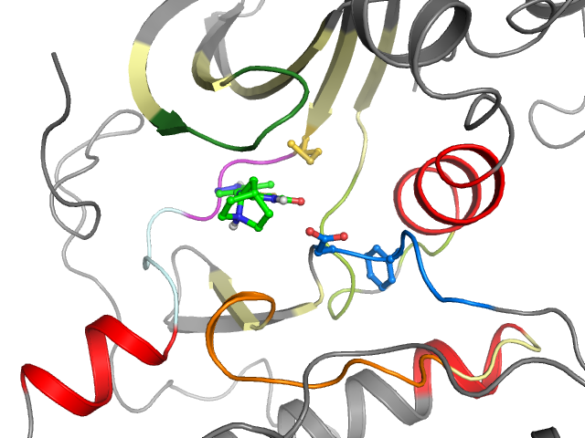The orthosteric binding pocket