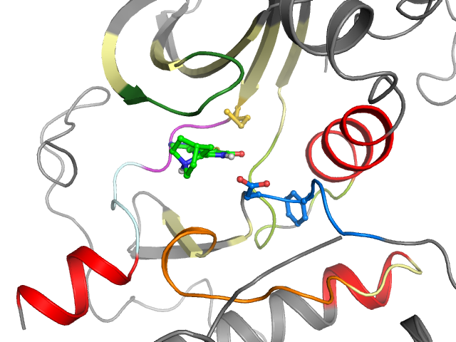 The orthosteric binding pocket