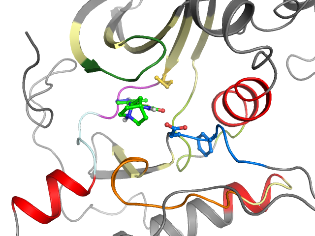 The orthosteric binding pocket