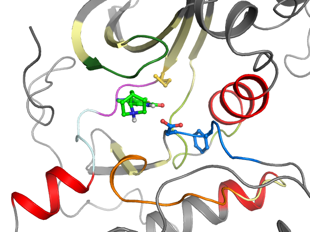 The orthosteric binding pocket