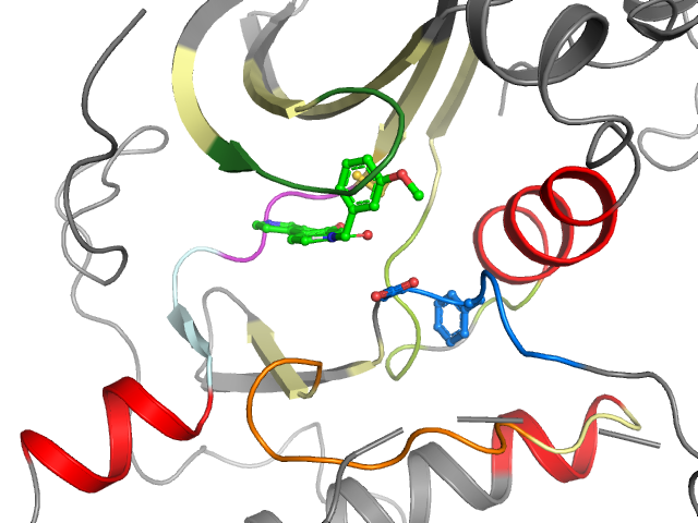The orthosteric binding pocket