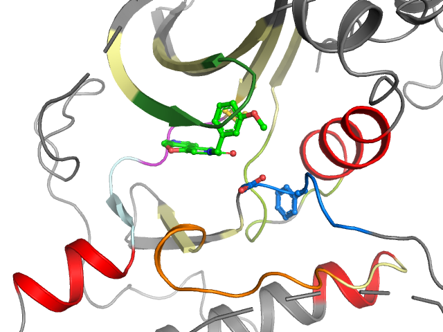 The orthosteric binding pocket