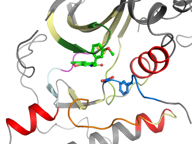 The orthosteric binding pocket