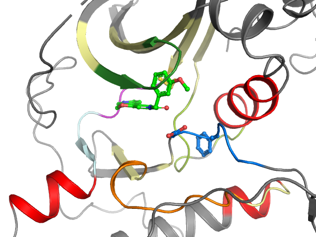 The orthosteric binding pocket
