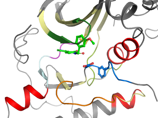 The orthosteric binding pocket