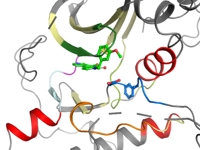 The orthosteric binding pocket