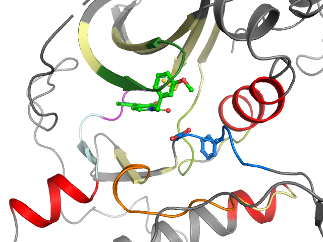 The orthosteric binding pocket