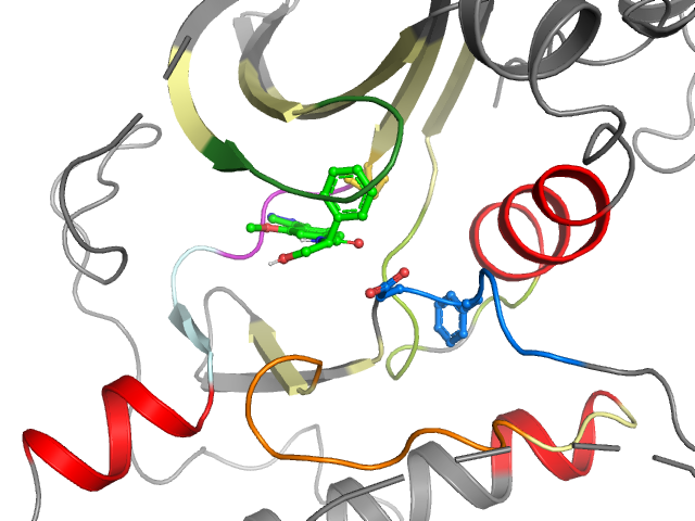 The orthosteric binding pocket