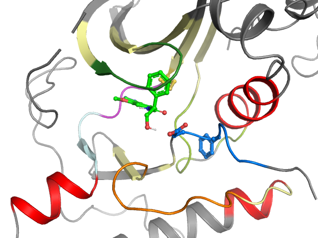 The orthosteric binding pocket