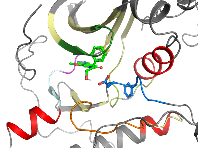 The orthosteric binding pocket