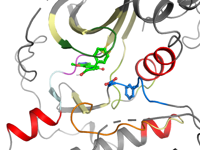 The orthosteric binding pocket