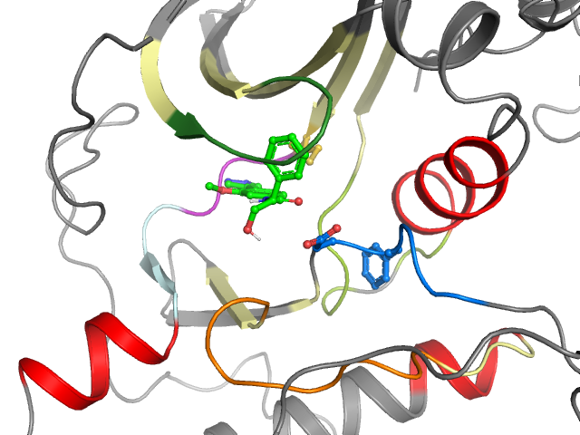The orthosteric binding pocket