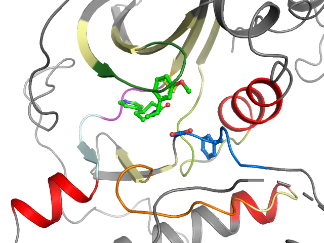 The orthosteric binding pocket