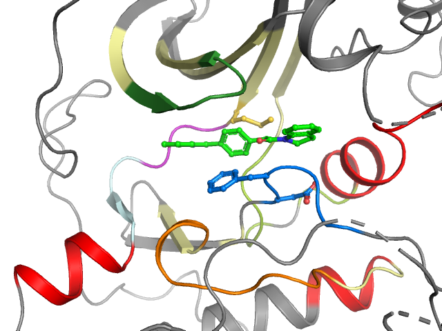 The orthosteric binding pocket