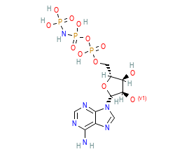 2D structure of the orthosteric ligand