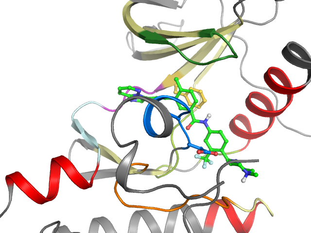 The orthosteric binding pocket