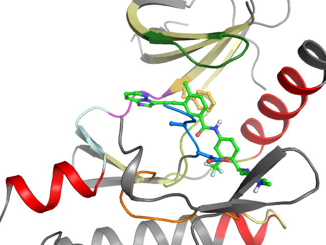 The orthosteric binding pocket