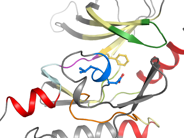 The orthosteric binding pocket