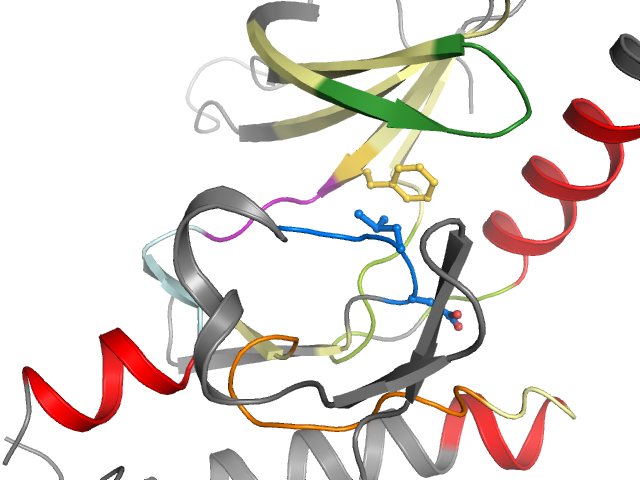 The orthosteric binding pocket