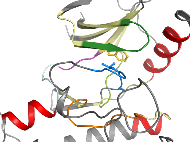 The orthosteric binding pocket
