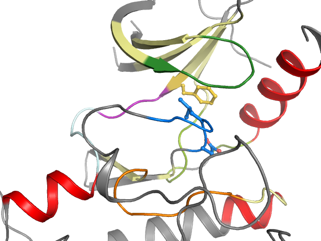 The orthosteric binding pocket