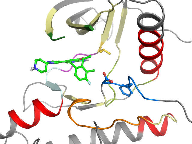 The orthosteric binding pocket