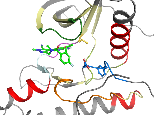 The orthosteric binding pocket