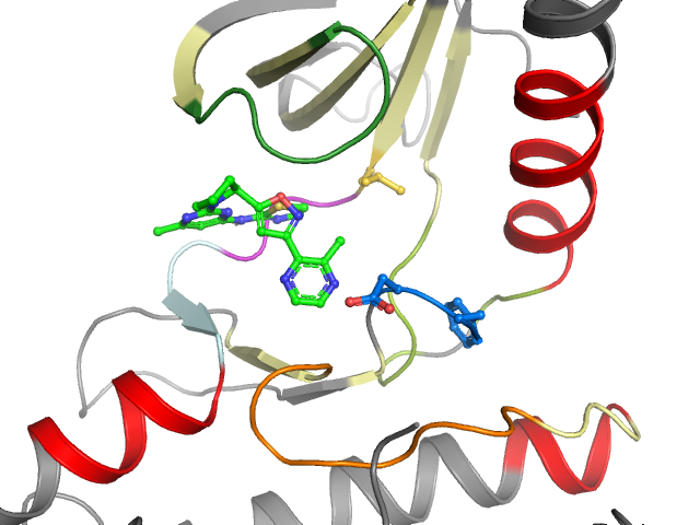 The orthosteric binding pocket