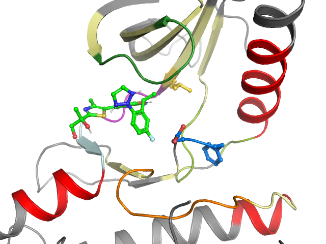 The orthosteric binding pocket
